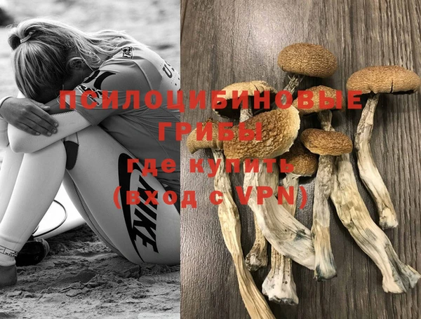 марки lsd Аркадак