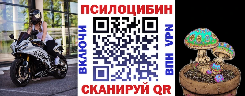Галлюциногенные грибы Psilocybine cubensis Казань
